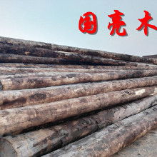 落葉松木木材的市場(chǎng)分析與應(yīng)用前景