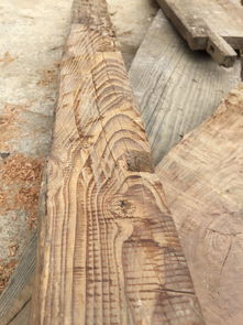 探索常見(jiàn)木材的種類(lèi)與特性